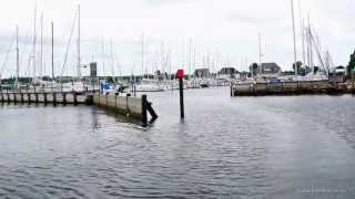 Deutsche Yachthaefen an der Ostsee Grossenbrode Ausfahrt aus dem Hafen und der Bucht [upl. by Crofoot191]