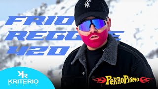 Perro Primo DTBilardo  Frio  Video Oficial Reggae 420 [upl. by Oicnanev]