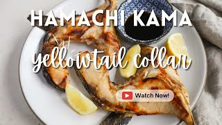 The BEST Hamachi Kama Recipe Tutorial [upl. by Metabel]