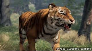 Animal tiger trailer [upl. by Lenhart]