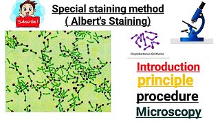 Alberts Staining  Special staning Method  part 4 [upl. by Anuahsar]