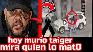 El taiger ya murió mira quien lo mat0 y por qué [upl. by Vitalis]