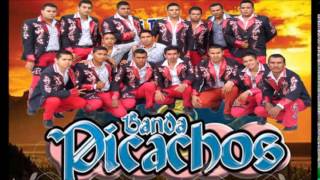 EL AMIGO  Banda Picachos 2014 [upl. by Hadeis]