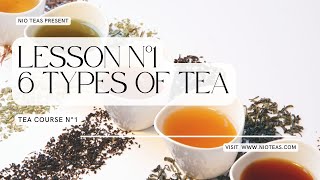 6 Different Types of Tea  Tea Course 1 [upl. by Sualokin611]