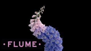 Flume  Take a Chance feat Little Dragon [upl. by Ardnac697]