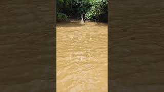 Fisherman village river fish Aceh netsfishing catchingfish fishing [upl. by Hirschfeld]