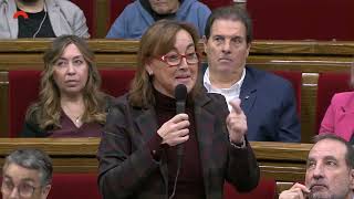 Intervenció sobre Energia i canvi climàtic al Parlament de Catalunya [upl. by Nipha]