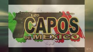 Capos De Mexico La Canelera BY GONZALEZ NY1 BASS 5K [upl. by Gwendolin507]