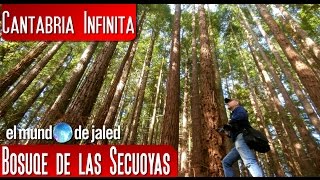 TURISMO CANTABRIA  Bosque de las Secuoyas – Cabezón de la Sal [upl. by Janerich]