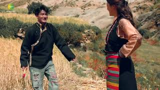 Tibetan New song 2024 ࿉ བོད་གཞས་གསར་པ་༢༠༢༤༼དྲན་སེམས།༽གཞས་མ། གདོང་དཀར་ཕན་ཐོགས། ࿉ Phanthok 2024 [upl. by Imaj]