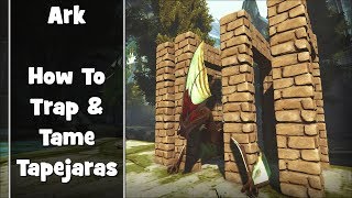 Ark  How to Trap amp Easily Tame Tapejaras No Ghilie Needed [upl. by Cornia]