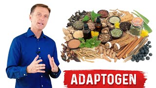 What are Adaptogens – Ashwagandha Explained by Dr Berg [upl. by Yahsel983]