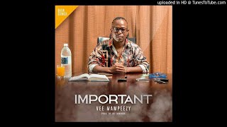 VEE MAMPEEZY  IMPORTANT  prod by Dr Tawanda [upl. by Aihsar]