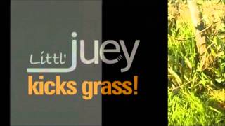 Littl Juey Kicks Grass Original Video [upl. by Shamrao]