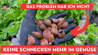 Gemüsegarten ohne Schnecken  So geht das [upl. by Rezzani36]