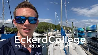 Tour the Waterfront at Eckerd College [upl. by Ahsienaj787]