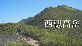 【西穂高岳】上高地より日帰り登山。北アルプスの花の百名山 [upl. by Enelyaj498]