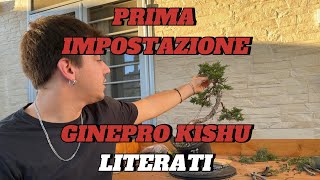 Prima impostazione ginepro kishu [upl. by Amjan]