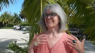 Sue Porter Dolphin Retreat Testimonial [upl. by Rehsu]