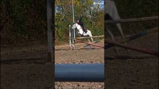 115 m springen met 1 hand ❤️ [upl. by Arquit167]