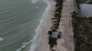 Honeymoon Island State Park  after Hurricane Helen [upl. by Nawaj]