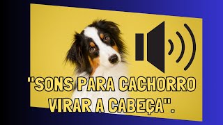 Sons para o seu cachorro virar a cabeça é GARANTIDO [upl. by Alikee533]