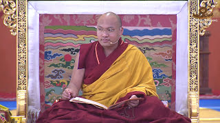 Gyalwang Karmapas Teachings on The Torch of True Meaning Session 2 [upl. by Ehpotsirhc20]