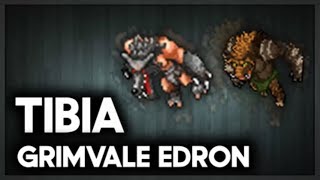 Tibia Grimvale  Edron EK 120 Hunt  800  900kh EXP [upl. by Allx]