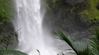 Wairēinga  Bridal Veil Falls  Waikato New Zealand [upl. by Rhett194]