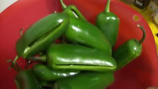 CHILES JALAPEÑOS RELLENOS [upl. by Dilly409]