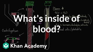 Whats inside of blood  Lab values and concentrations  Health amp Medicine  Khan Academy [upl. by Follansbee871]