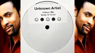 Unknown Artist  It Wasnt Me [upl. by Hose898]