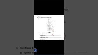 Labelling parts of the alimentary canal [upl. by Anerahs]