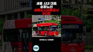 세종 신도시 내에 대표적인 BRT 순환노선 B0번 시내버스 세종버스 brt [upl. by Aydne188]