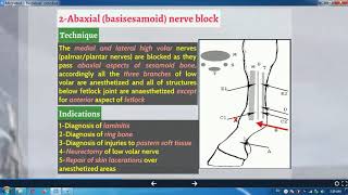 IIREGIONAL ANALGESIA IPERINEURAL BRegional Analgesia Of Limbs 1Horse 2Abaxial nerve block [upl. by Nomal]