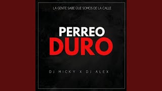 Perreo Duro Duro Bailotear feat Dj Alex Del Callao [upl. by Aihsenod838]