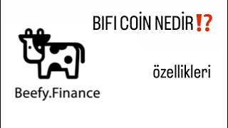 Beefy Finance BIFI Nedir [upl. by Yauqaj]