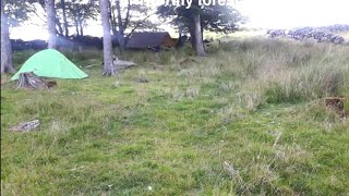 My first wildcamp in Dartmoor England [upl. by Drake]