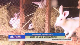 GIKUYU TV URIMI WA THUNGURA NA SERAH KIMANI PRT 1 7TH APRIL 2018 [upl. by Ater989]