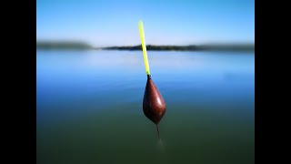 Pecanje Skobalja  GoPro Fishing  Reka Struma Bugarska [upl. by Coffee212]