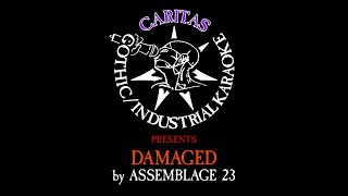 Assemblage 23  Damaged  Karaoke Instrumental w Lyrics  Caritas Industrial Karaoke [upl. by Daile]