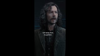 Sirius Black fan cam HarryPotter SiriusBlack [upl. by Clywd]