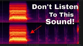 The Scariest Sound In The World [upl. by Tootsie2]