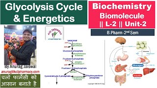 Glycolysis Cycle amp Energetics  L2 Unit2 Biochemistry [upl. by Ardyth]