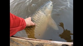 Robbyn hooks a 35Lb fish at the Family pond [upl. by Euqinomahs]