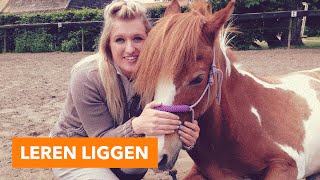 Leren liggen vrijheidsdressuur  PaardenpraatTV [upl. by Laband]