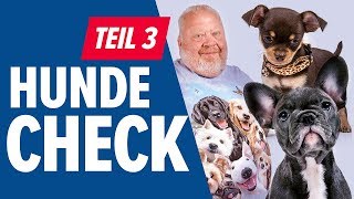 HUNDE CHECK Teil 3  NORBERT ZAJAC  Zoo Zajac Duisburg [upl. by Gnagflow]