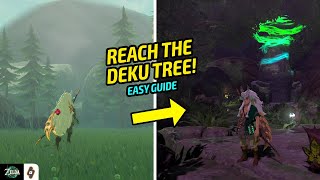 EASY GUIDE How to enter Korok Forest in Tears of The Kingdom [upl. by Einnahc729]