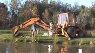 Farm pond cattails kill or manage cattails [upl. by Evad820]