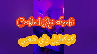 cocktail rai chaabi quot style wald aicha quot [upl. by Ardnuahs]